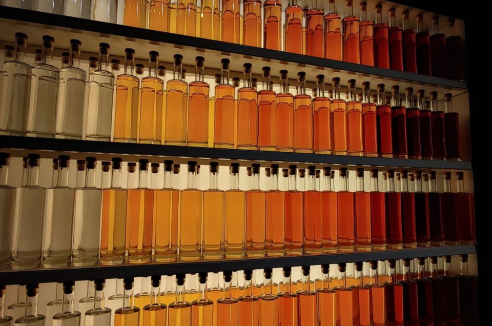 Cognac : Au Cœur de la Route des Vins