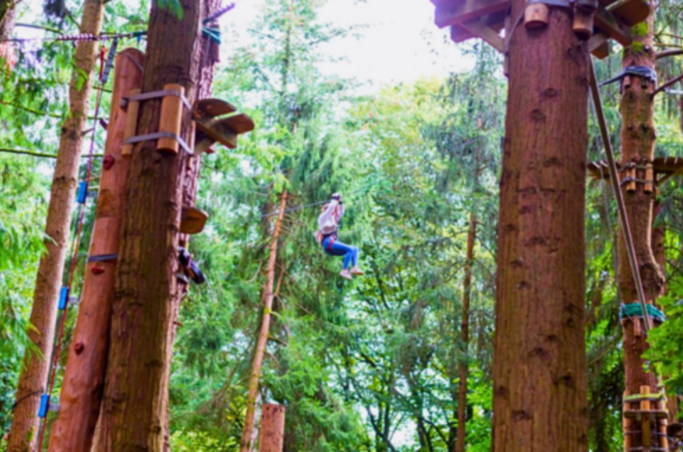 Zoom Famille – Journée au Parc Aventure de Soyaux