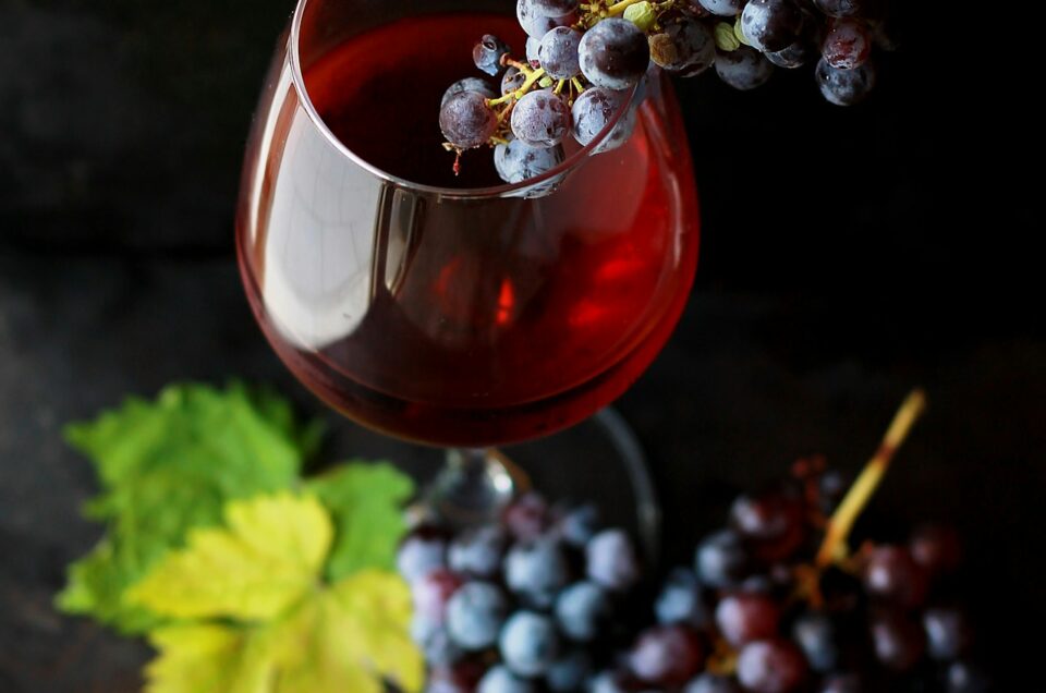 Visiter Cognac depuis Angoulême — Sweet Homes Location